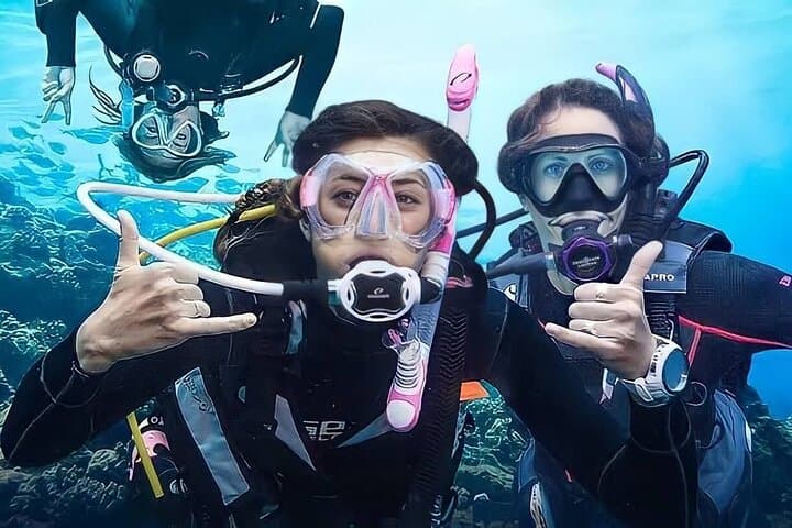 Antalya Scuba Diving Tour: Two Dives, Lunch & Roundtrip Transfer photo 4