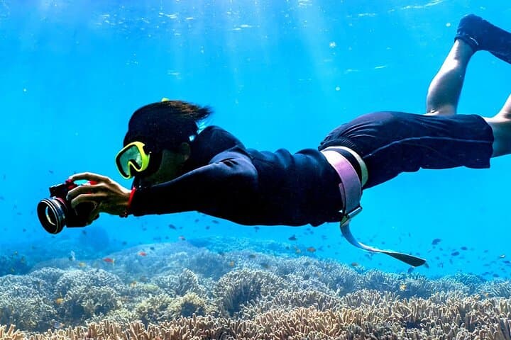 Antalya Scuba Diving Tour: Two Dives, Lunch & Roundtrip Transfer photo 6