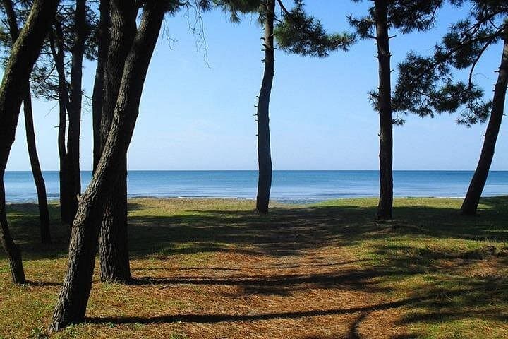 Kutaisi to Kolkheti & Poti: One-Day Kayak and Coastal Adventure photo 2