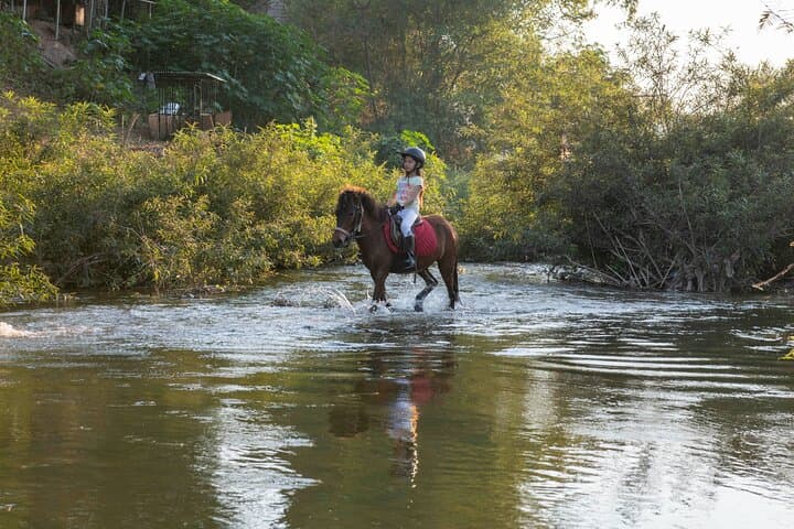 Pony Riding in Luang Prabang: Hmong Horses, Rice-Field Trails & Namkhan River Rides photo 1