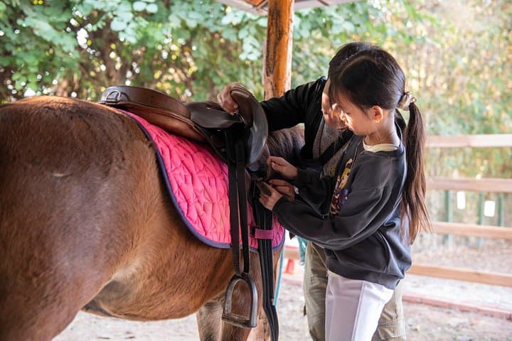 Pony Riding in Luang Prabang: Hmong Horses, Rice-Field Trails & Namkhan River Rides photo 2