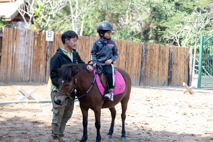 Pony Riding in Luang Prabang: Hmong Horses, Rice-Field Trails & Namkhan River Rides photo 3