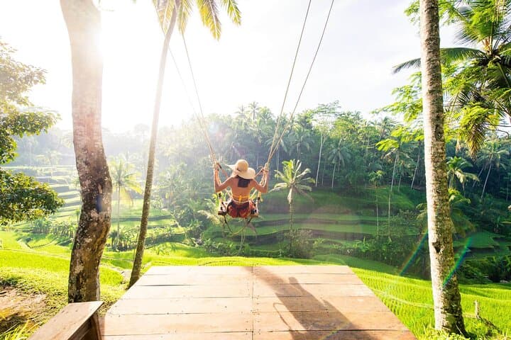 Ubud Full-Day Tour: Monkey Forest, Tegalalang Rice Terraces & Waterfall Escape
