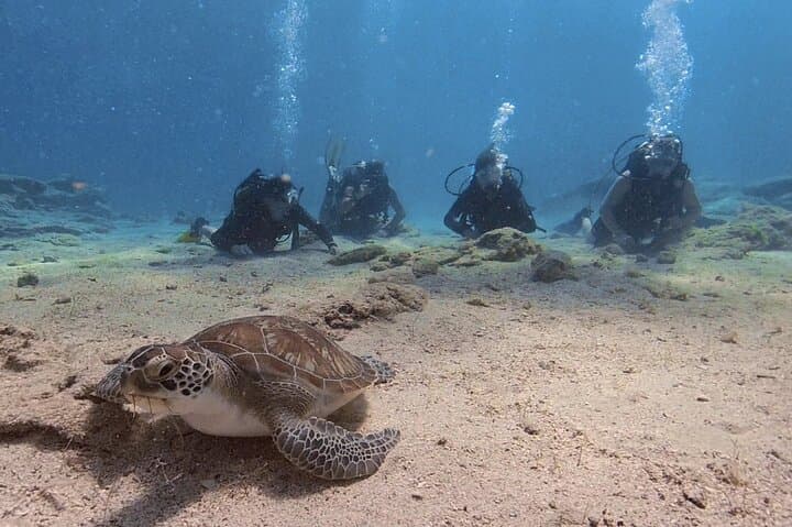 Discover Scuba Diving in Protaras — Green Bay Beginner Dives with Free Video photo 2
