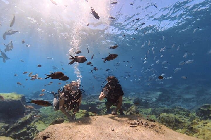 Discover Scuba Diving in Protaras — Green Bay Beginner Dives with Free Video photo 5