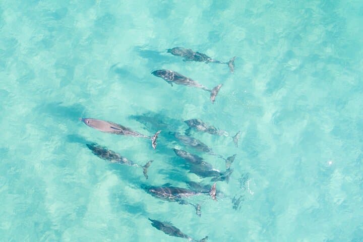 Group Surf Lesson at Corny Point: Learn to Ride Yorke Peninsula Waves photo 3