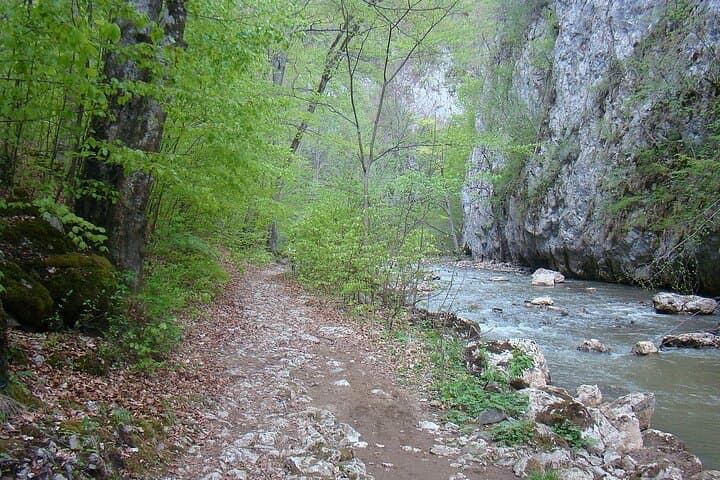 Hike Varghis Gorge: Private Day Tour Through Eastern Carpathian Limestone Walls photo 6