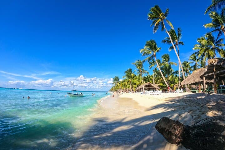 Day Trip to Saona Island from Punta Cana: Beaches, Blue Lagoon & Boat Ride photo 6