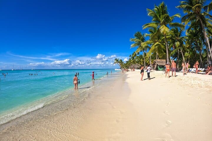 Day Trip to Saona Island from Punta Cana: Beaches, Blue Lagoon & Boat Ride photo 4