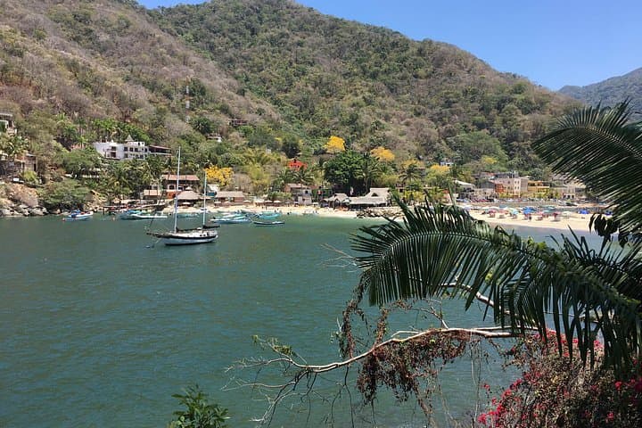 Boca to Las Animas: Remote Hidden Beaches Hike on Puerto Vallarta's South Shore photo 3