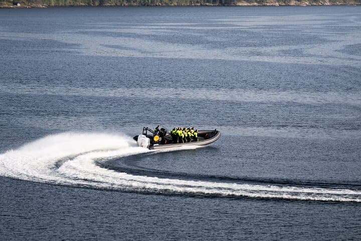 Hardangerfjord RIB Safari from Ulvik — Bridge, Waterfalls & Roadless Fjord Arms photo 4