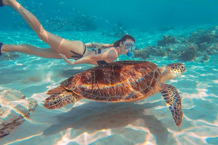 West Maui Self-Guided E-Bike & Snorkel Explorer — Kapalua to Kaanapali Coast Ride photo 5