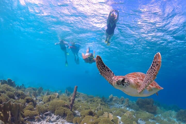 West Maui Self-Guided E-Bike & Snorkel Explorer — Kapalua to Kaanapali Coast Ride photo 2