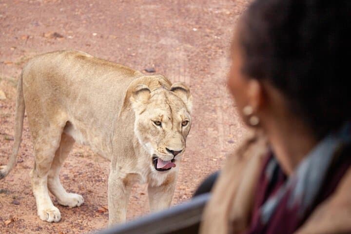 Aquila Game Reserve: Full-Day Private Safari from Cape Town photo 4