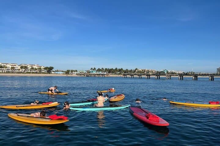 Snorkel the Replicated Shipwreck & Reef Trails at Lauderdale-by-the-Sea photo 5