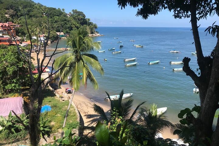Yelapa Boat & Waterfall Walking Tour from Puerto Vallarta