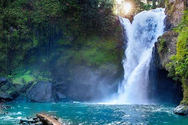 Ubud Full-Day Tour: Monkey Forest, Tegalalang Rice Terraces & Waterfall Escape photo 2