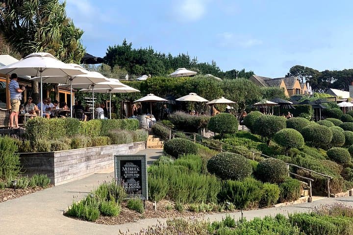 Private Vineyard Bush Walk Tour on Waiheke Island — Walk, Wine & Headland Views photo 4