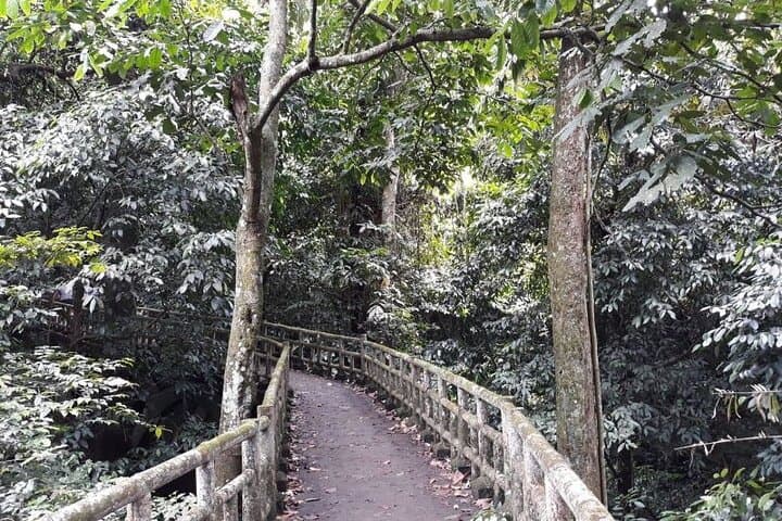 Cuc Phuong National Park Day Trek: Primate Rescue, Ancient Forest & Limestone Views photo 4