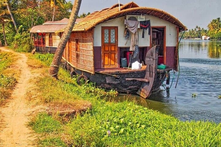 Kerala Private Tour Package: 8-Night Tea Gardens, Wildlife & Backwater Journey photo 5