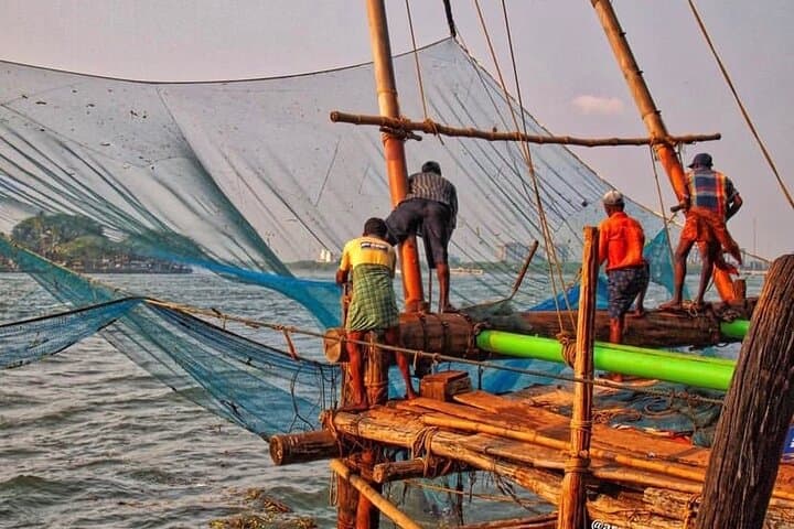 Kerala Private Tour Package: 8-Night Tea Gardens, Wildlife & Backwater Journey photo 6