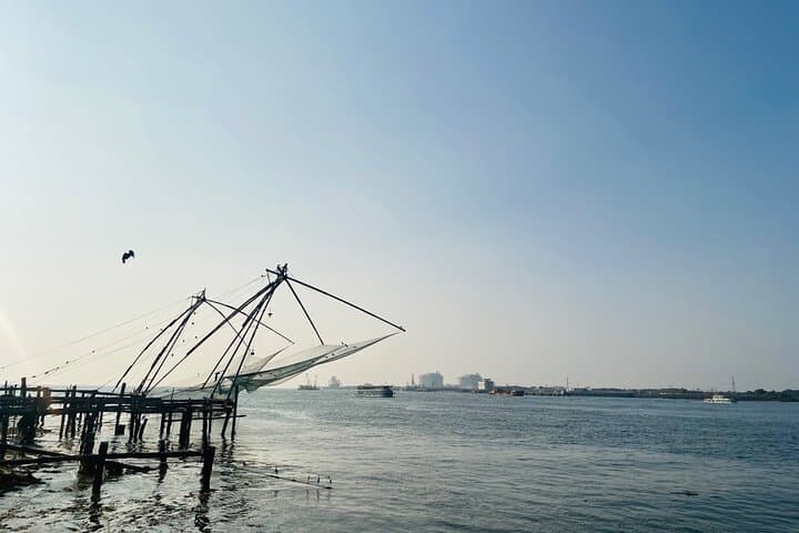 Kerala Private Tour Package: 8-Night Tea Gardens, Wildlife & Backwater Journey photo 4
