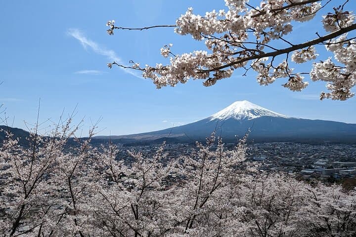 Private Mt. Fuji Day Trip: Lake Kawaguchiko & Hakone Private Car Tour from Tokyo