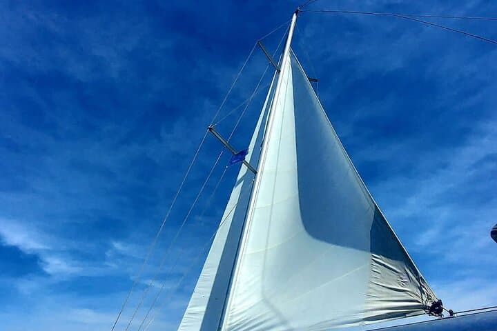 Private Mykonos Southern Beach Hopping Sailing Cruise with Lunch photo 4