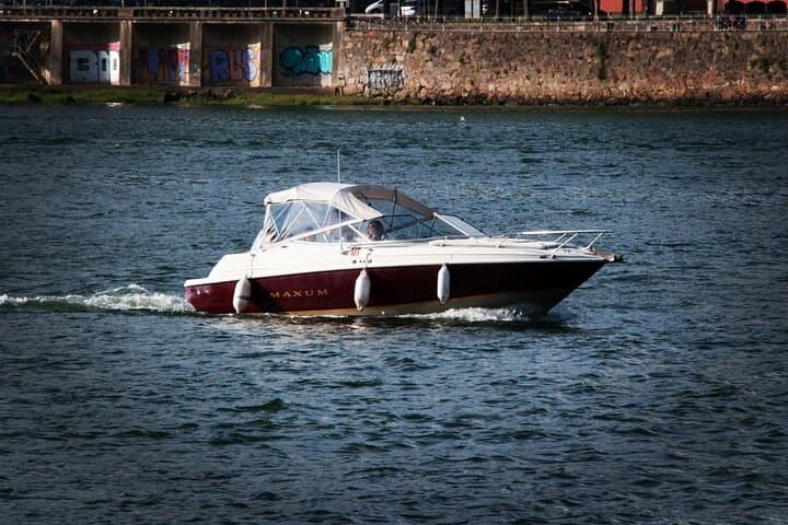 Private Boat Tour to D. Luís Bridge - Porto River Cruise (1 Hour) photo 4