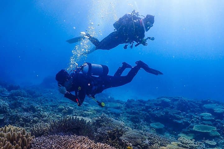 Northern Okinawa Three-Dive Boat Safari: Minna & Sesoko with Fisherman's Lunch