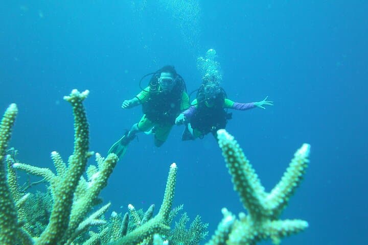Discover Scuba Diving in Coron: Beginner Shipwreck & Reef Dives photo 2