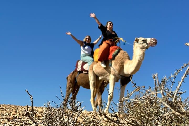 Agafay Desert Sunset: Camel Ride, Quad Biking & Berber Dinner from Marrakech photo 2