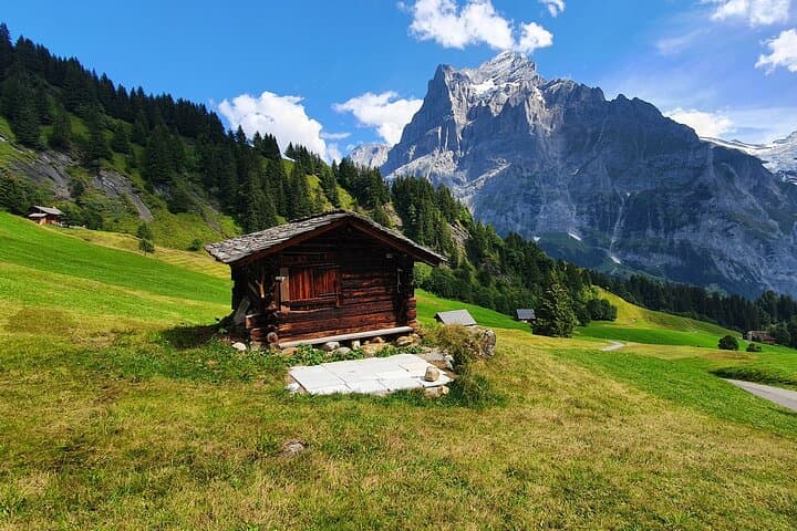 Grindelwald First & Cliff Walk: Gondola Ticket to Alpine Views and Adventure photo 6