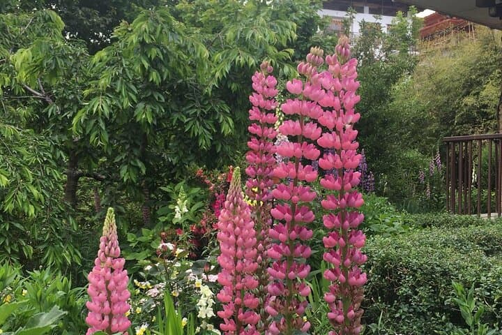 Bhutan Flora Tour: Guided Botanical Journey Through the Himalaya photo 4