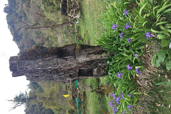 Bhutan Flora Tour: Guided Botanical Journey Through the Himalaya photo 5