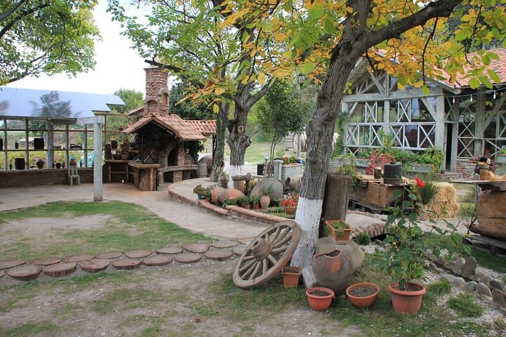 Sighnaghi & Kindzmarauli Wine Day Trip from Tbilisi photo 3