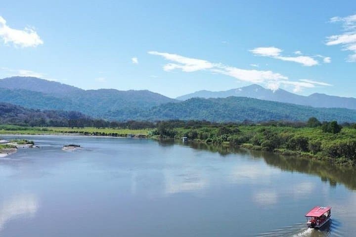 Tarcoles River Crocodile Boat Tour — Up-Close Crocodile Viewing Near Jaco photo 3