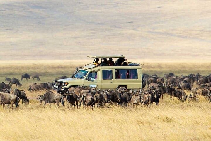 8-Day Kenya Flying Safari: Samburu, Amboseli & Masai Mara with Serena Lodges photo 3