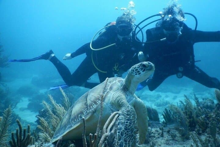 Discover Scuba Diving in Tulum Cenotes: Beginner-Friendly Intro Dive photo 3
