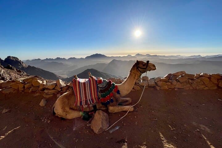 Mount Sinai Sunrise Hike & St. Catherine Monastery Tour from Sharm El Sheikh photo 3