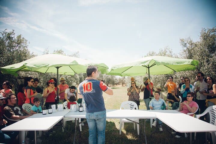 Olive Grove Immersion in Baeza: Organic EVOO Tasting & Guided Farm Walk photo 2