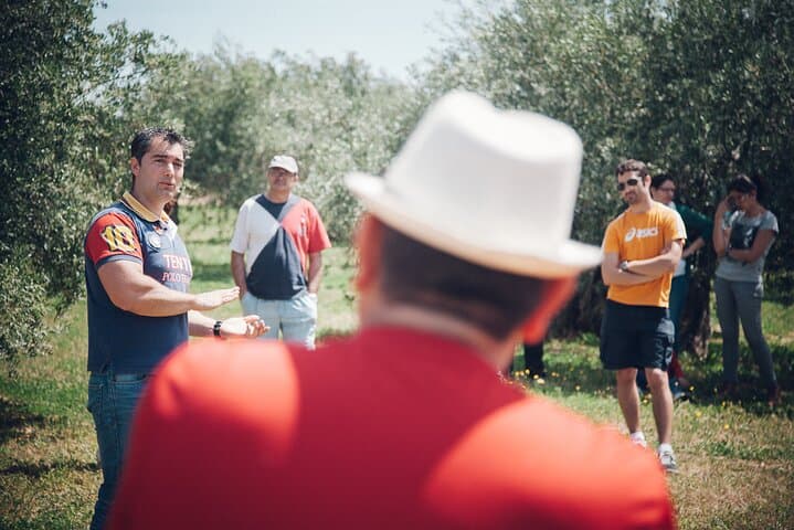 Olive Grove Immersion in Baeza: Organic EVOO Tasting & Guided Farm Walk photo 3