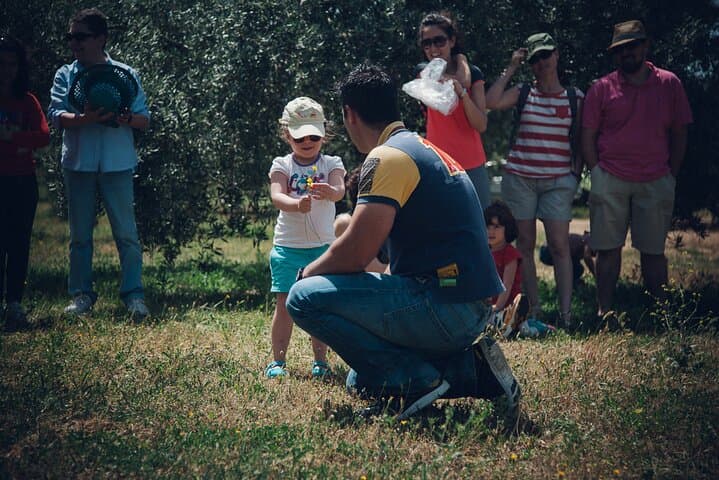 Olive Grove Immersion in Baeza: Organic EVOO Tasting & Guided Farm Walk photo 5
