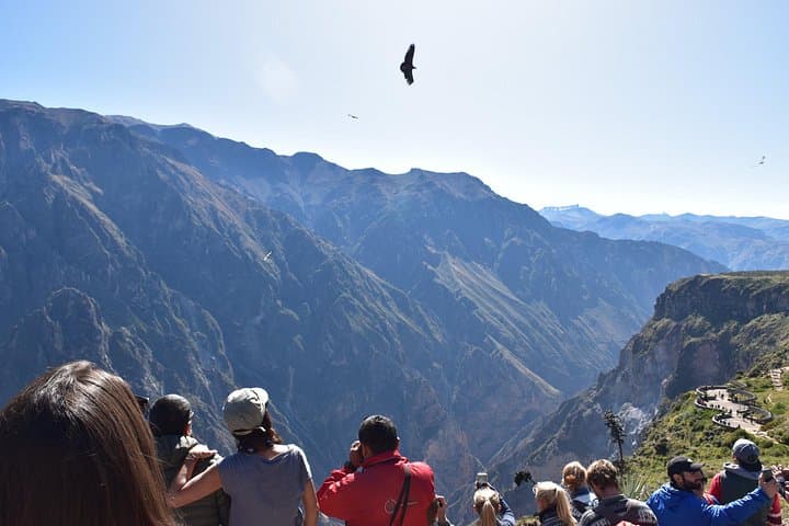 2-Day Colca Canyon Tour: Andean Condors, Terraces & Hot Springs photo 4
