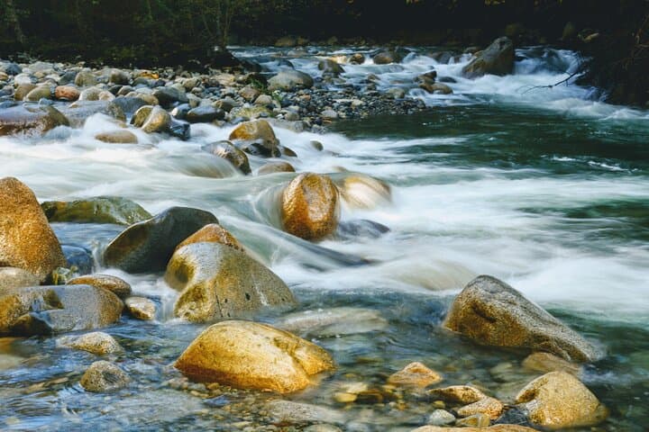 Lynn Canyon Photography Tour: Rainforest, Suspension Bridge & Waterfalls photo 5