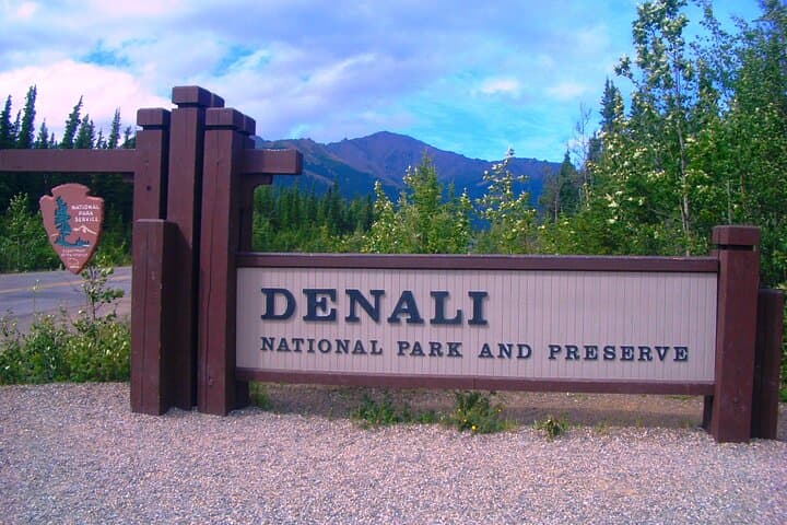 Denali to Fairbanks Shuttle: 3-Hour Hotel Transfers with Scenic Views