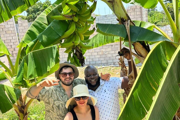 Montego Bay Sightseeing, Shopping & Bamboo Rafting Tour photo 3