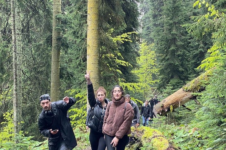 Downhill Hike in Borjomi-Kharagauli: 13 km Group Trek from Kutaisi photo 1