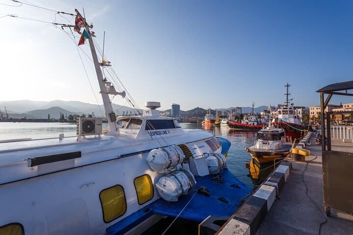 Batumi Walking Tour: Europe Square to the Alphabet Tower in 90 Minutes photo 5