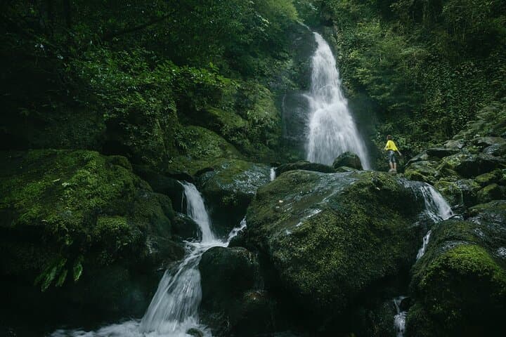 Mtirala National Park Hike from Batumi — Waterfalls, Cable Car & Swimming photo 1